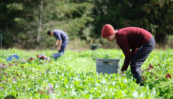 FARMER JOB IN CANADA