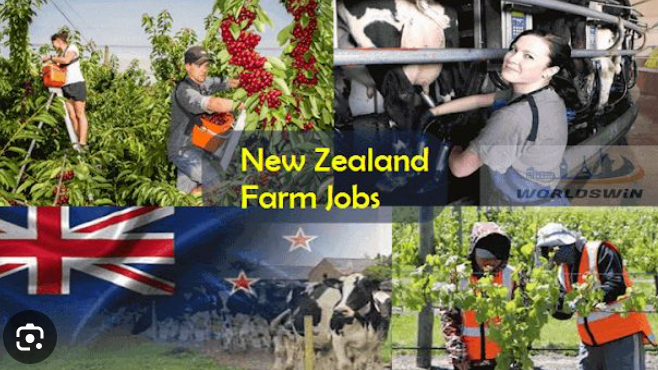 FARMER JOB IN NEW ZEALAND