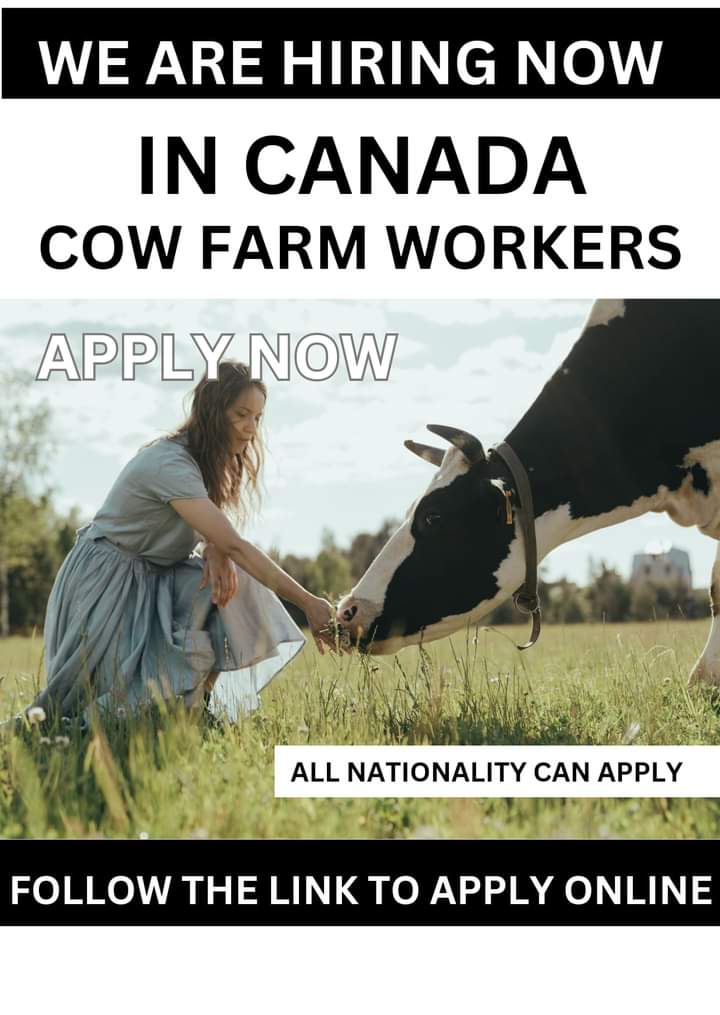 Canada farm worker jobs 2024