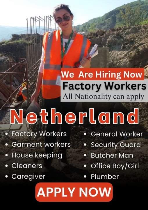 Factory Worker Jobs Netherlands 2024