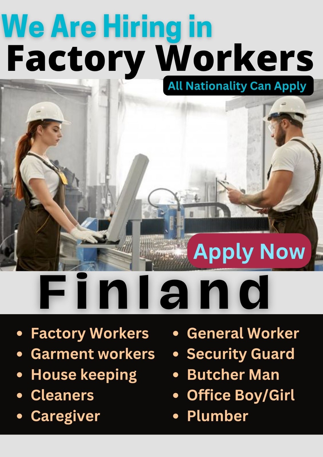 Finland Factory Workers in 2024