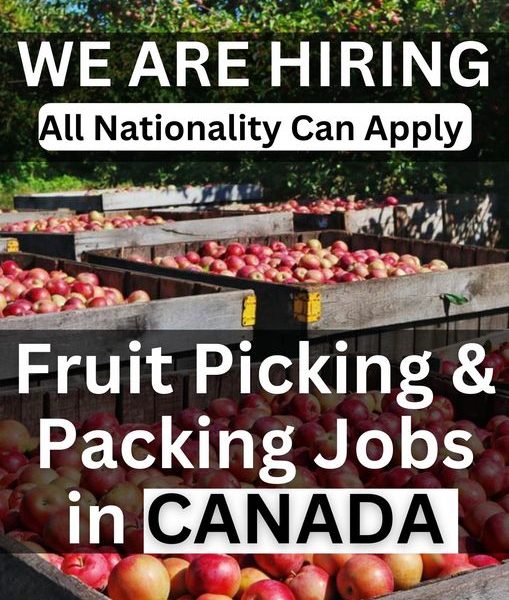 Fruit picking jobs canada