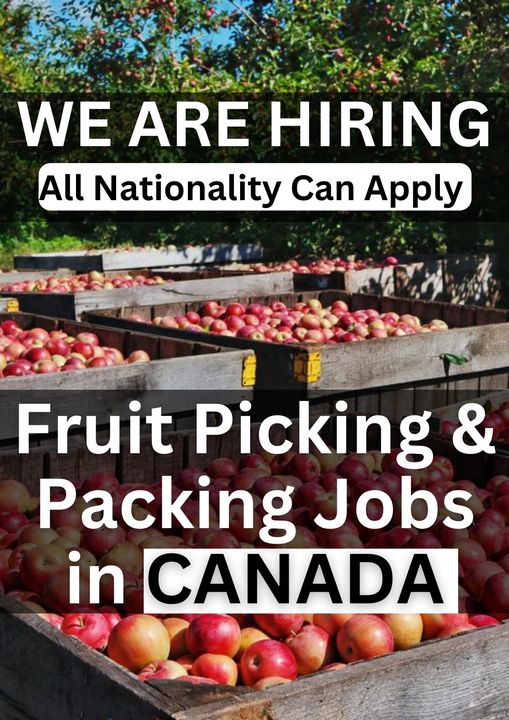 Fruit picking jobs canada